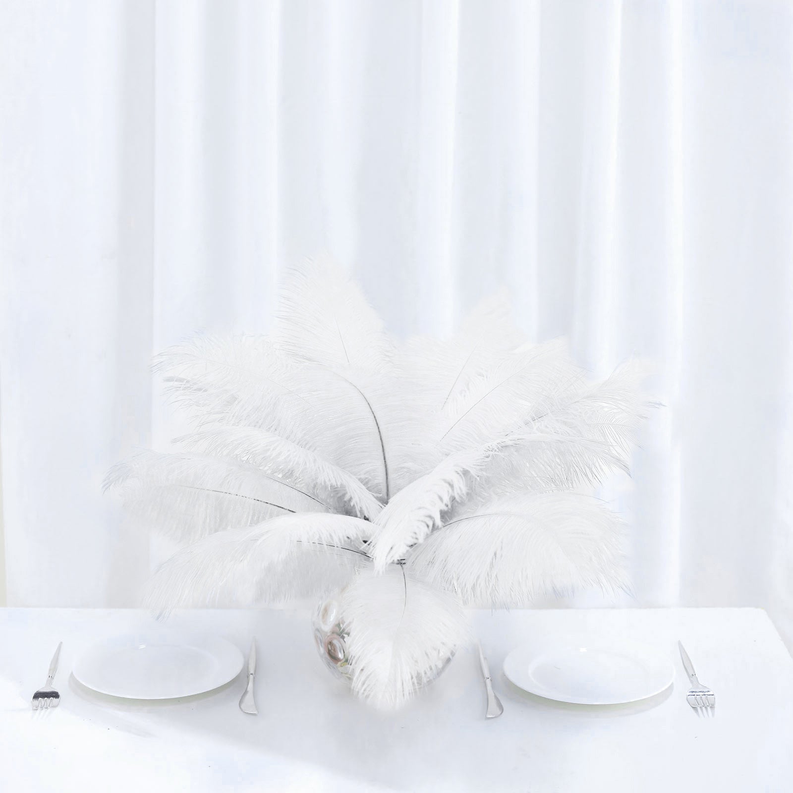 White Ostrich Feathers